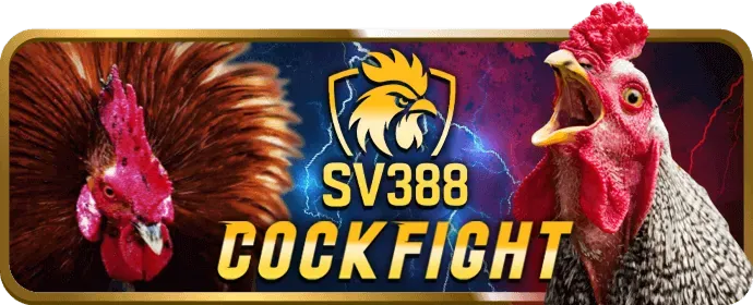 Dịch vụ hỗ trợ khách hàng 24/7 của 789p bet